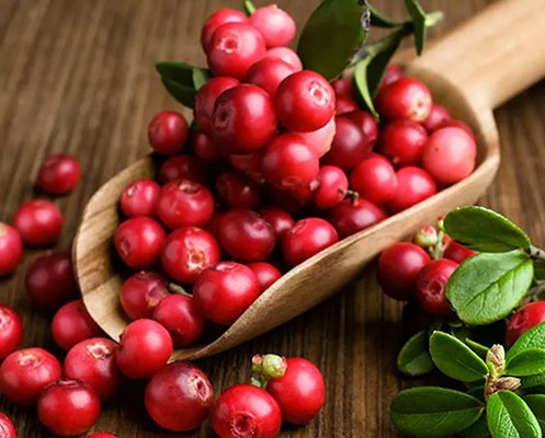 INFECCIONES DE ORINA Y CISTITIS